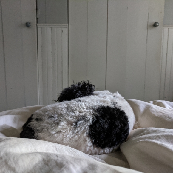 Posh Ambassador...Robyn💗 - Picture 5 of 10